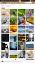 Megapixel 2013 - galerie