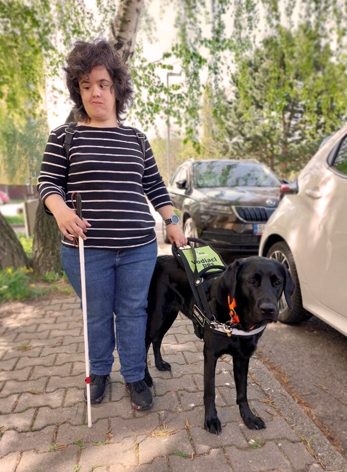 Žena so stredne dlhými hnedými kučeravými vlasmi stojí na chodníku pod stromom. Má na sebe čierno-biely pruhovaný sveter, modré rifle a čierne topánky. Na chrbte má čierny batoh, na ľavej ruke smart hodinky a v pravej ruke drží bielu palicu. Ľavou rukou drží postroj čierneho vodiaceho psa, ktorý má na sebe svietivo zelený banner s nápisom „vodiaci pes“. Vedľa nich sú zaparkované autá a v pozadí sú stromy a budovy.